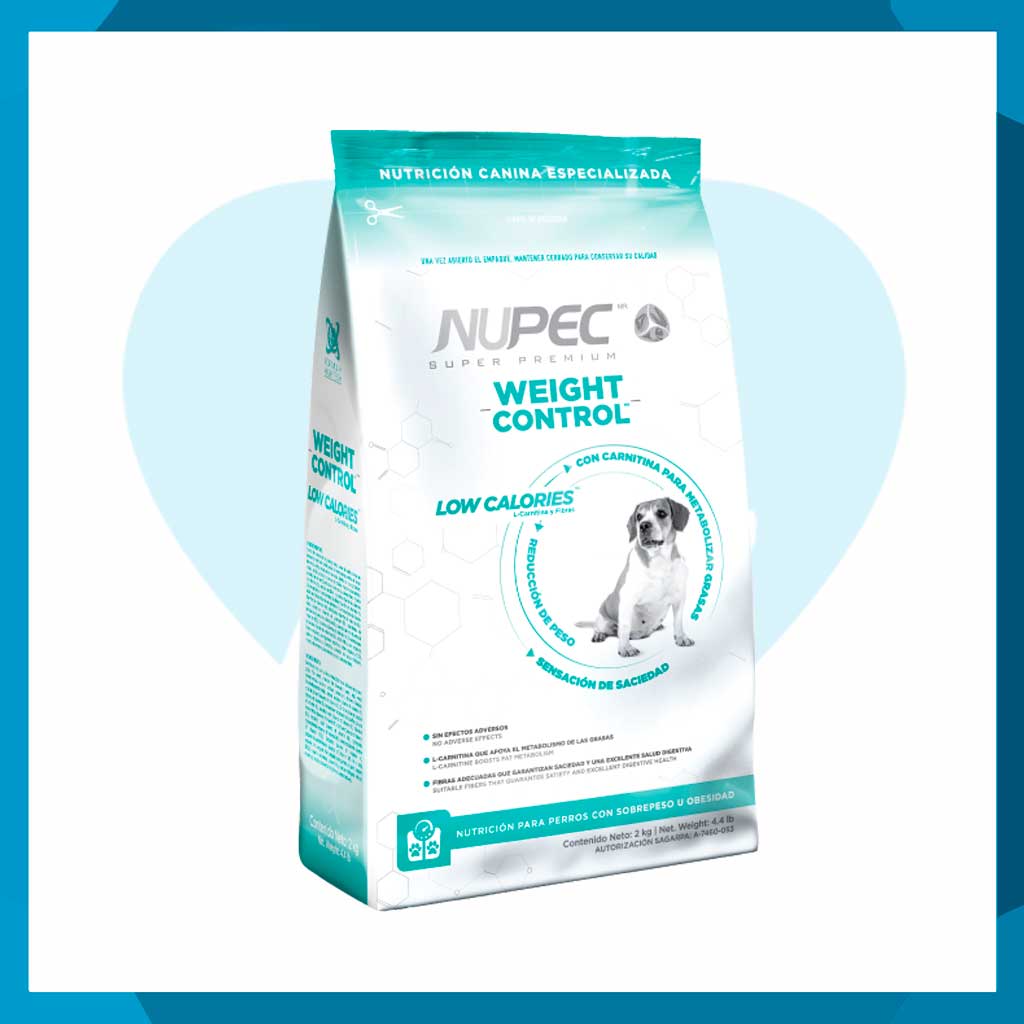can you put vitamin c serum on your lips Con L-carnitina Energía Comida Para Perros Adultos Nature's Protection -  Sabor Cordero, 12 Kg main image 0