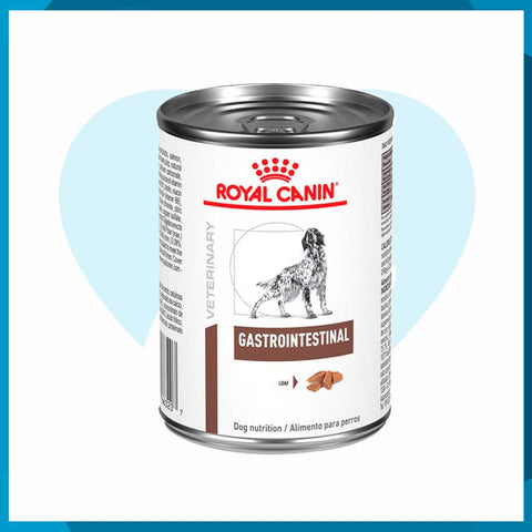 Alimento Royal Canin Gastro-Intestinal High Energy Lata 385g