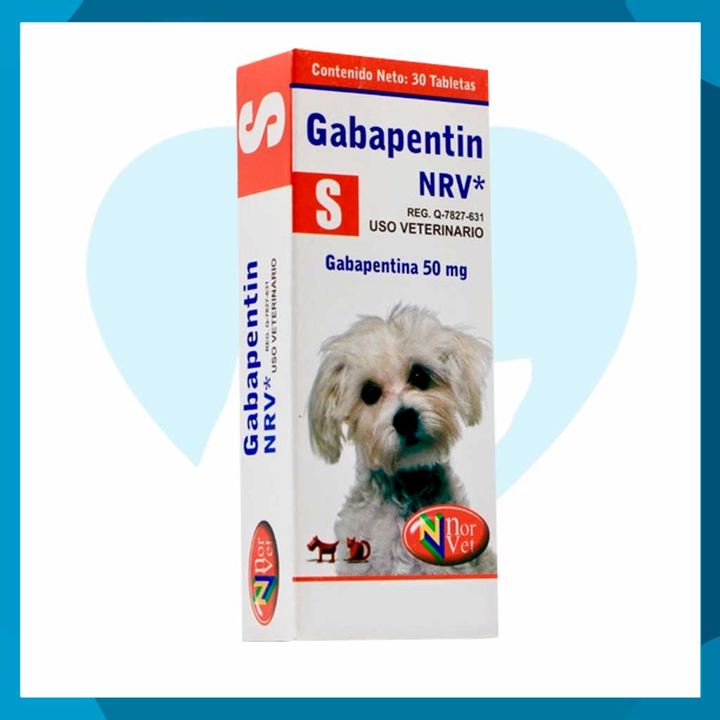 se debe tomar la gabapentina para perros con alimentos