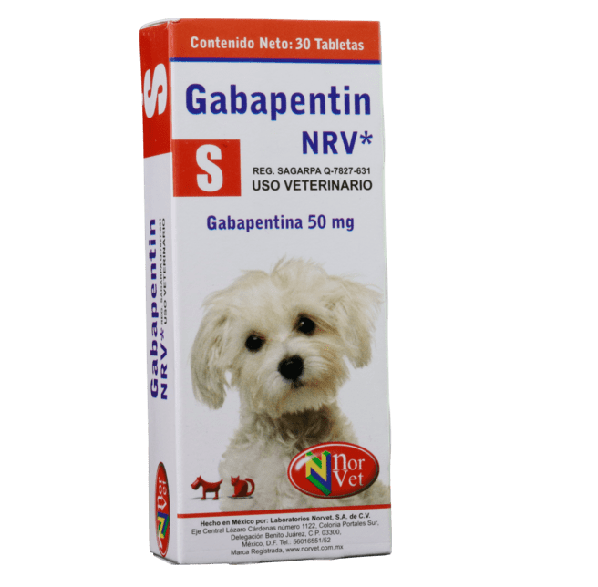 se debe tomar la gabapentina para perros con alimentos