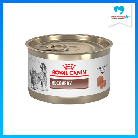 ROYAL CANIN PERRO GI RECOVERY LATA 150 G