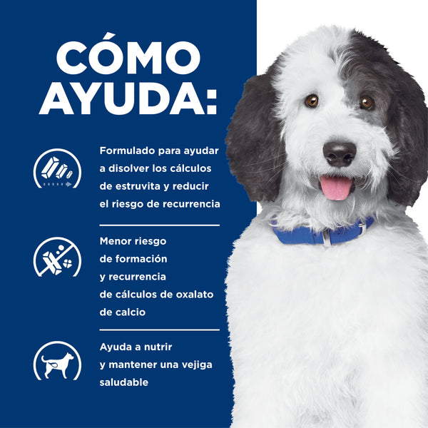 HILL'S PERRO C/D PROBLEMAS URINARIOS