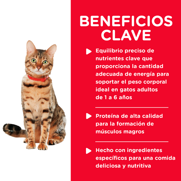 HILL'S GATO ADULT HEALTHY ESTOFADO LATA 80 G