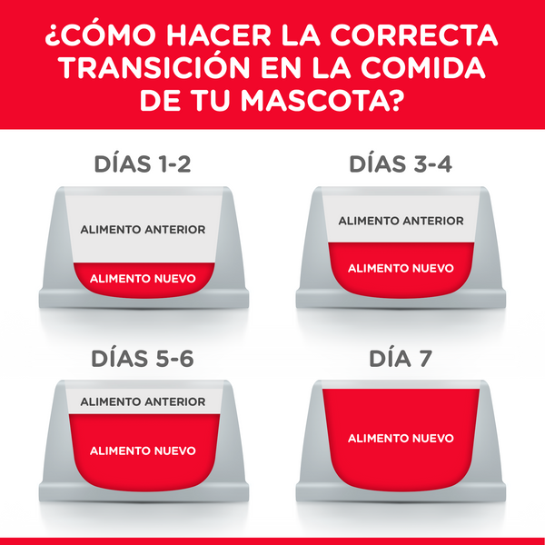 HILL'S GATO ADULT HEALTHY ESTOFADO LATA 80 G