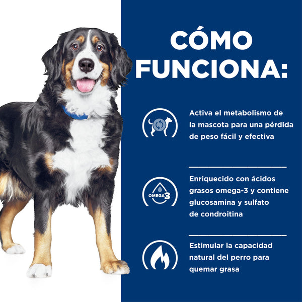 HILL'S PERRO METABOLIC + MOBILITY