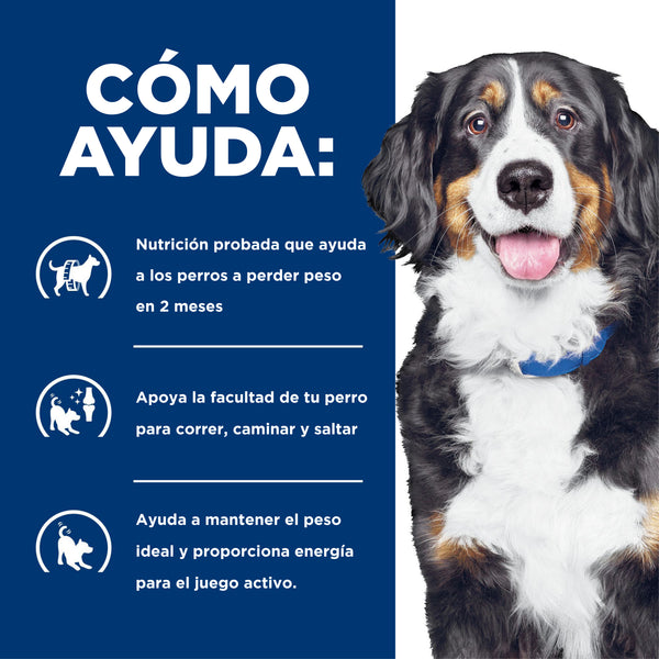 HILL'S PERRO METABOLIC + MOBILITY