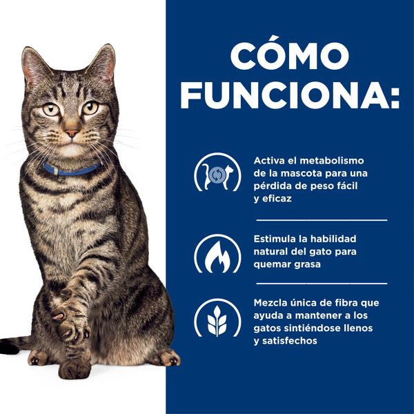 HILL'S GATO METABOLIC (PERDIDA Y MTTO DE PESO)