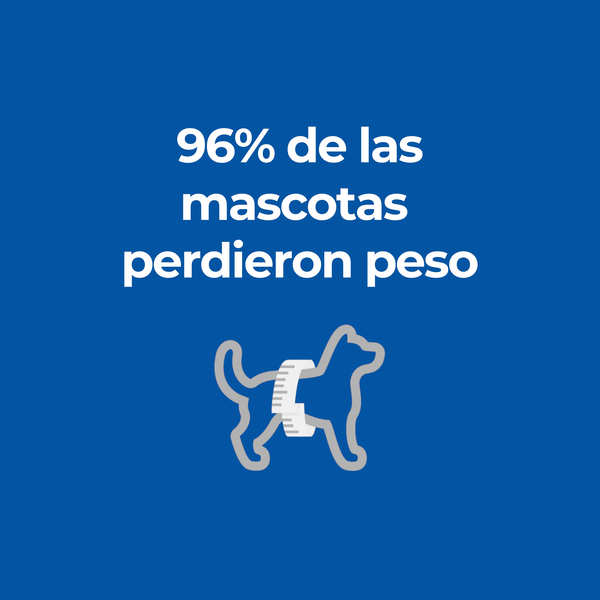 HILL'S PERRO METABOLIC LATA 370 G