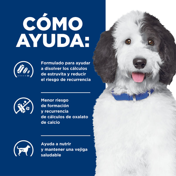 HILL'S PERRO C/D PROBLEMAS URINARIOS ESTOFADO 350 G
