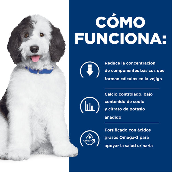 HILL'S PERRO C/D PROBLEMAS URINARIOS ESTOFADO 350 G