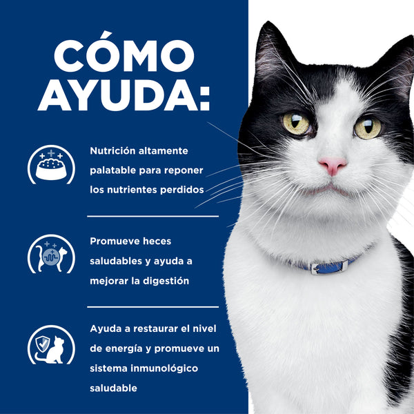 HILL'S LATA GATO GASTRO-INTESTINAL  I/D 150 G