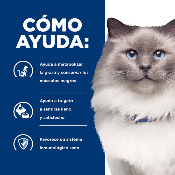 HILL'S GATO R/D REDUCCION DE PESO, HIPERLIPIDEMIA 3.9 KG