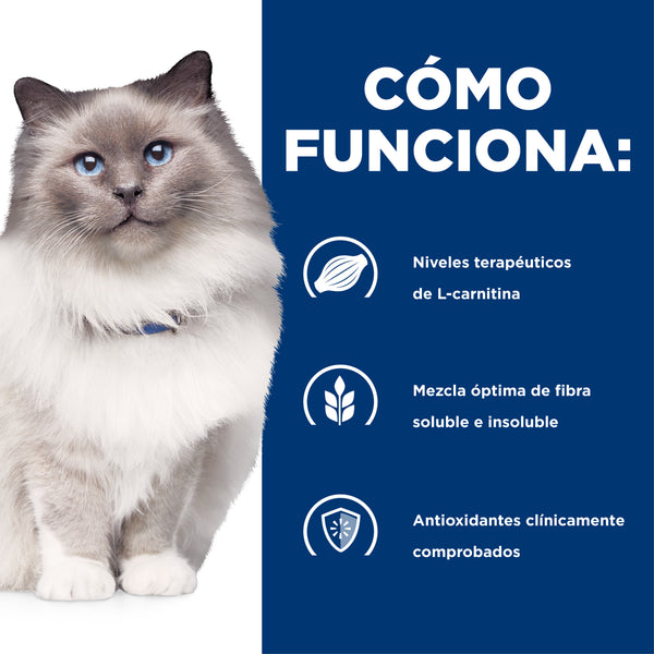 HILL'S GATO R/D REDUCCION DE PESO, HIPERLIPIDEMIA 3.9 KG