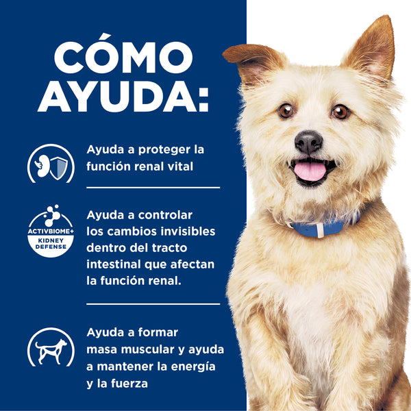 HILL'S PERRO K/D PROBLEMAS RENALES LATA 370 G