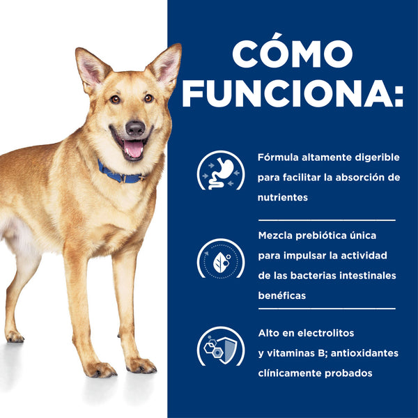 HILL'S PERRO I/D GI