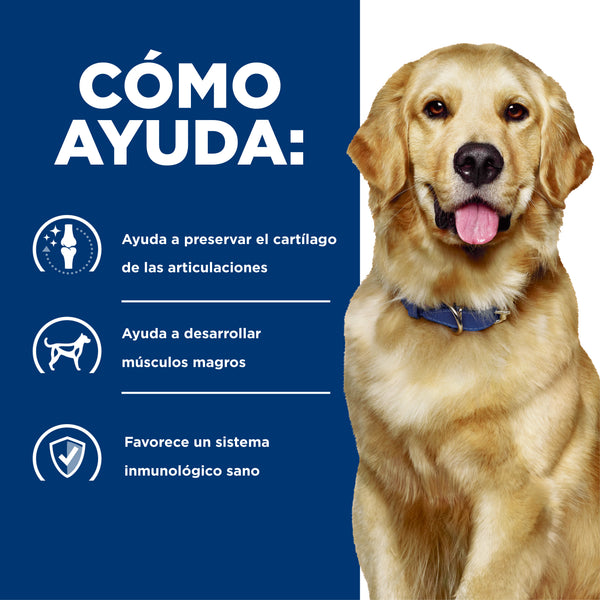 HILL'S PERRO J/D PROBLEMAS ARTICULARES