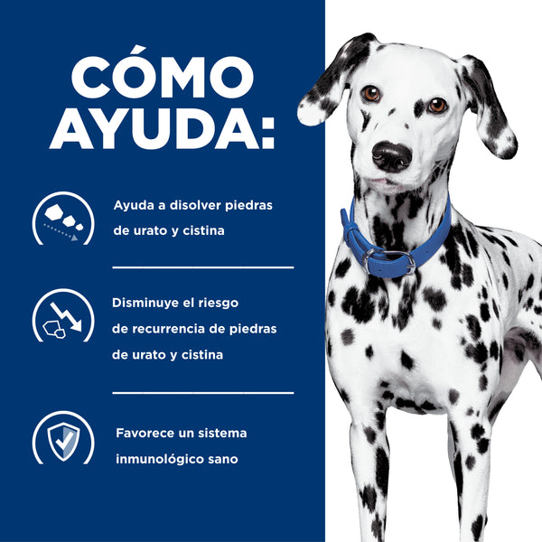 HILL'S PERRO U/D RENAL UROLITIASIS