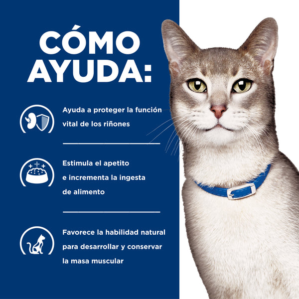 HILL'S GATO PROBLEMAS RENALES K/D LATA 150 G