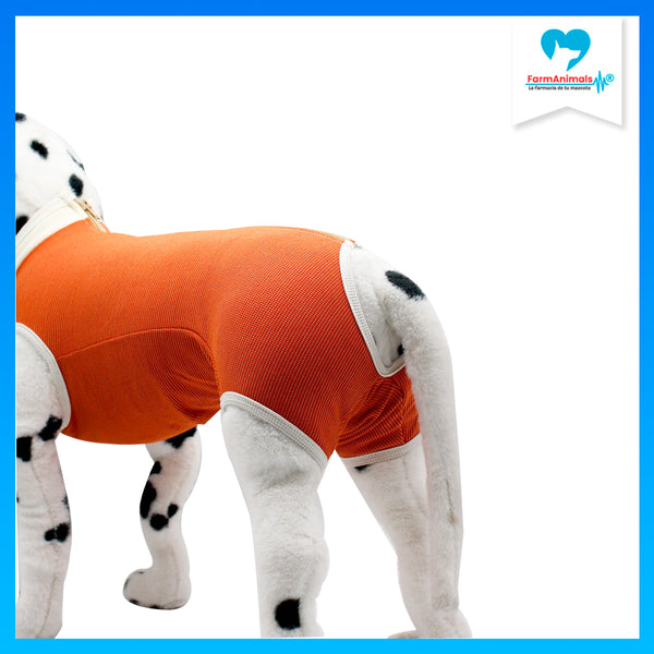 Body Cobre Original Talla 10 de 25-30kg