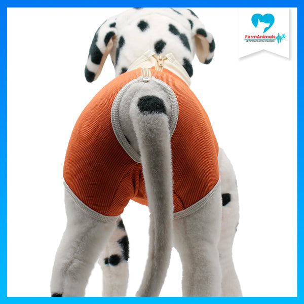 Body Cobre Original Talla 10 de 25-30kg