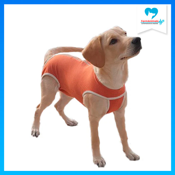 Body Cobre Original Talla 10 de 25-30kg
