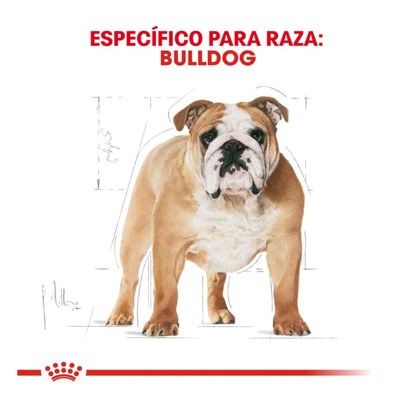 ROYAL CANIN PERRO BHN BULLDOG 13.6 KG