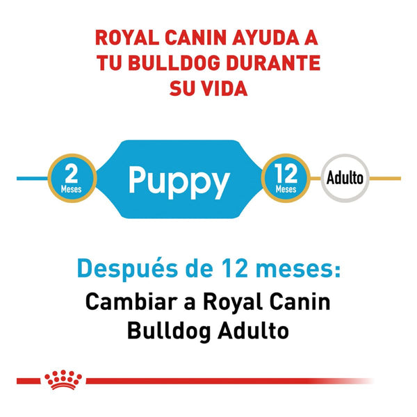 ROYAL CANIN CACHORRO BHN BULLDOG PUPPY 2.73 KG