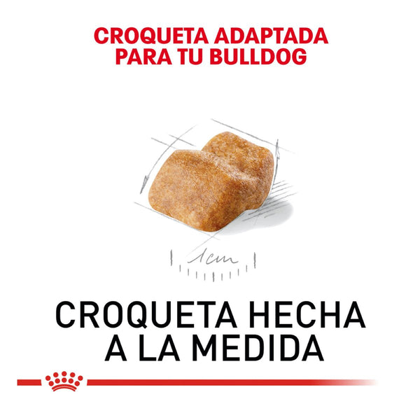 ROYAL CANIN CACHORRO BHN BULLDOG PUPPY 2.73 KG