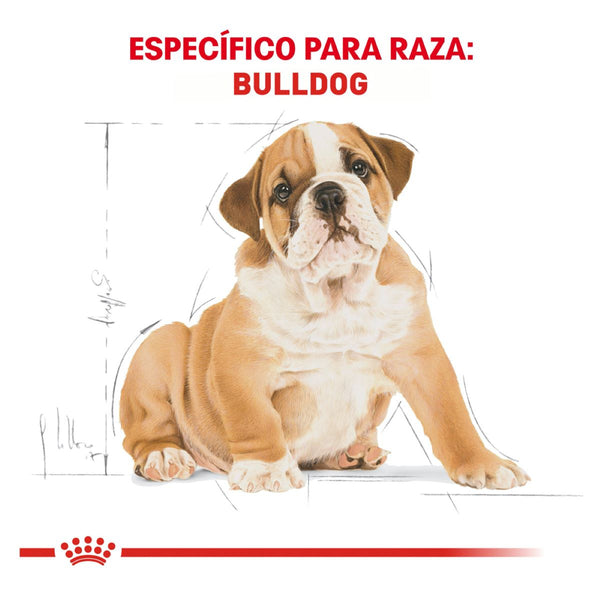 ROYAL CANIN CACHORRO BHN BULLDOG PUPPY 2.73 KG