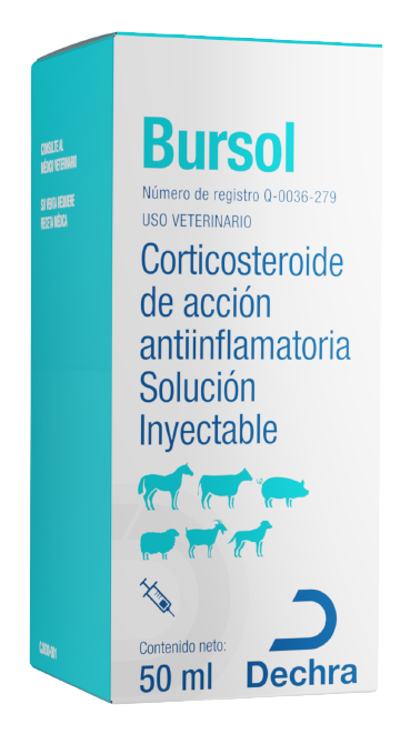 Bursol Solución Inyectable 50ml (requiere receta medica veterinaria vigente)