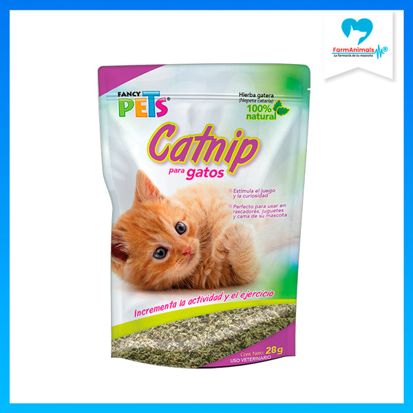 Catnip Fancy Pets Para Gato