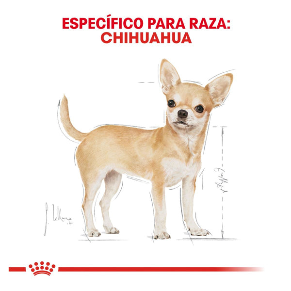 ROYAL CANIN PERRO BHN CHIHUAHUA  1.14 KG