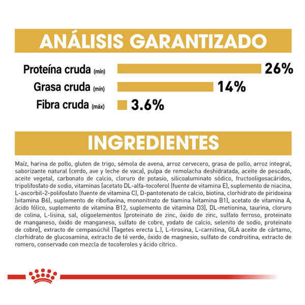 ROYAL CANIN PERRO BHN CHIHUAHUA  4.55 KG