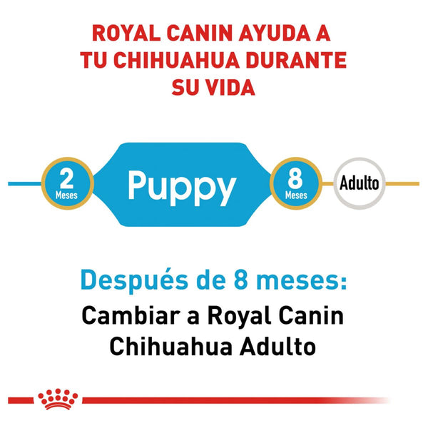 ROYAL CANIN CACHORRO BHN CHIHUAHUA PUPPY 1.14 KG