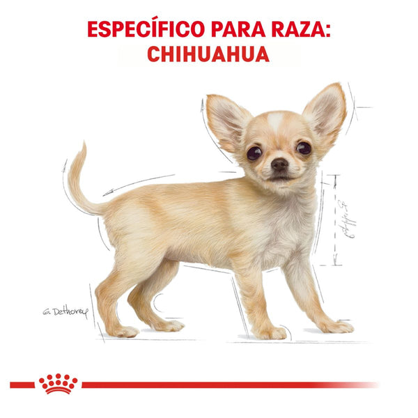 ROYAL CANIN CACHORRO BHN CHIHUAHUA PUPPY 1.14 KG