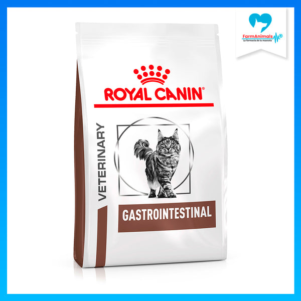 ROYAL CANIN GATO GASTROINTESTINAL  4 KG