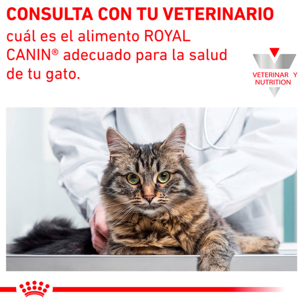 ROYAL CANIN GATO VS RENAL SUP D IN GRAVY LATA 85 G (envío a partir de $250.00 pesos)