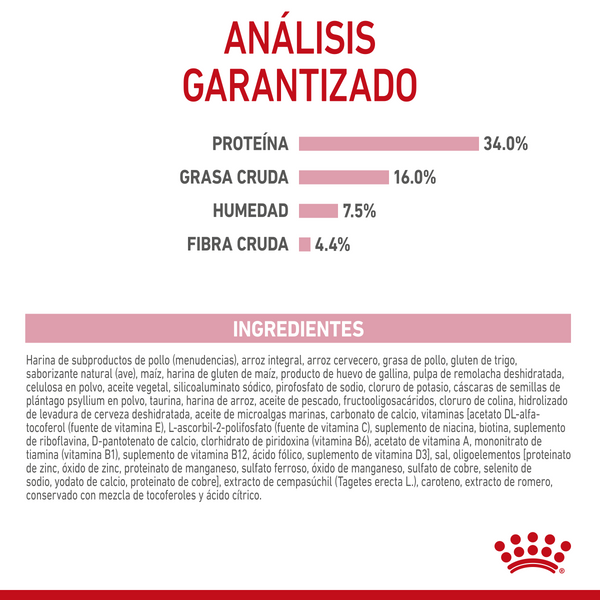 ROYAL CANIN GATO HM KITTEN  3.18 KG