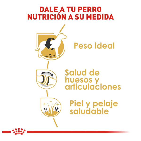 ROYAL CANIN PERRO BHN LABRADOR RETRIEVER 13.6 KG