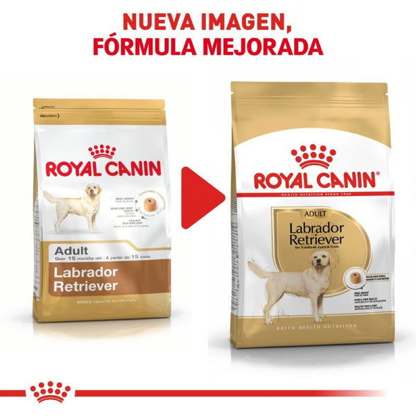 ROYAL CANIN PERRO BHN LABRADOR RETRIEVER 13.6 KG