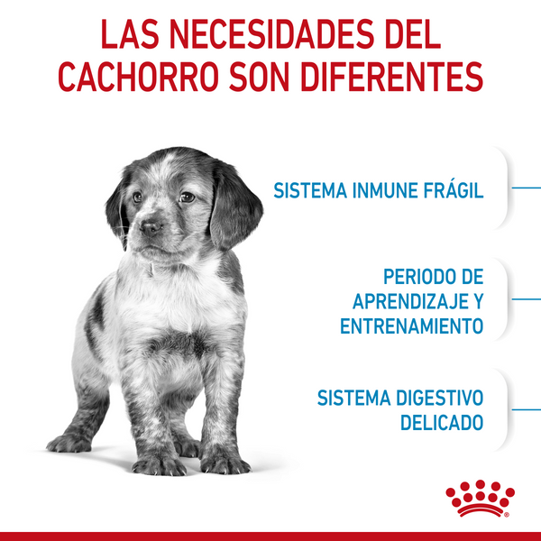 RC PERRO HM MEDIUM PUPPY 2.73 KG