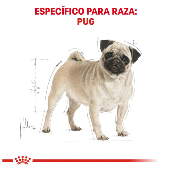 ROYAL CANIN PERRO BHN PUG  4.55 KG