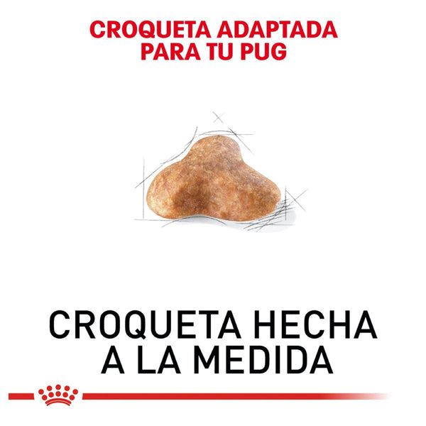 ROYAL CANIN PERRO BHN PUG  4.55 KG