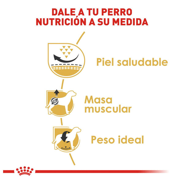 ROYAL CANIN PERRO BHN PUG  4.55 KG