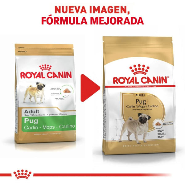 ROYAL CANIN PERRO BHN PUG  4.55 KG