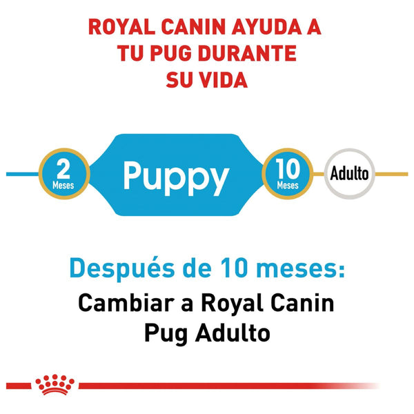 ROYAL CANIN CACHORRO BHN PUG PUPPY 1.14 KG