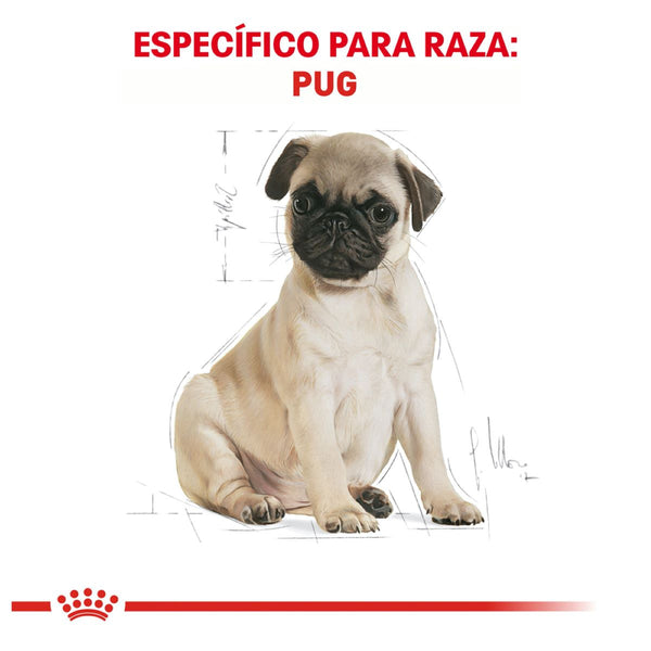 ROYAL CANIN CACHORRO BHN PUG PUPPY 1.14 KG