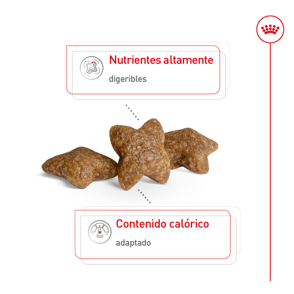 ROYAL CANIN ALIMENTO SECO PARA PERRO ADULTO RAZA PEQUEÑA 2 KG