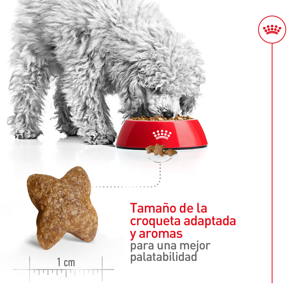 ROYAL CANIN ALIMENTO SECO PARA PERRO ADULTO RAZA PEQUEÑA 2 KG