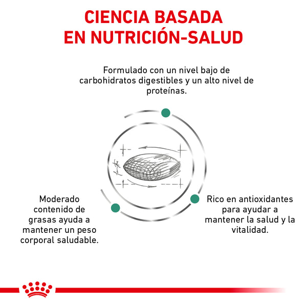 ROYAL CANIN GATO WM GLYCOBALANCE  2 KG
